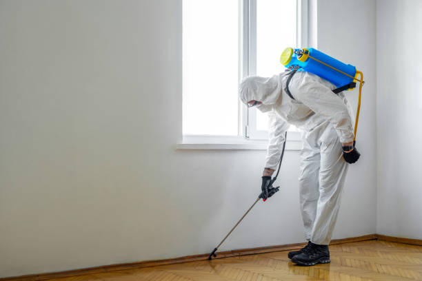Best Best Pest Control Companies  in Bridgeport, NE